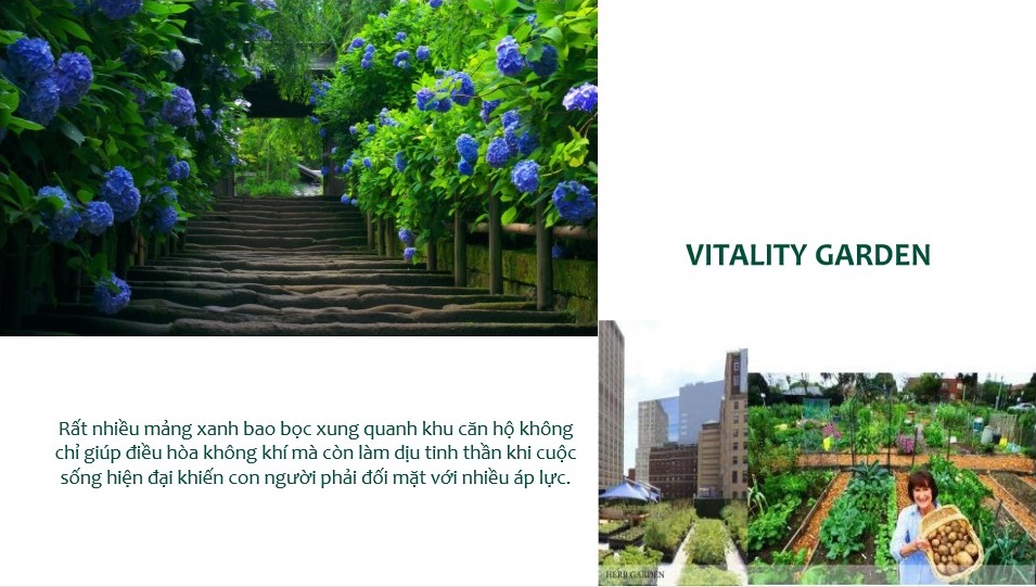 Vitality Garden